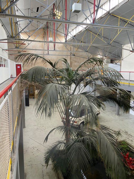 Hangar Belle de mai